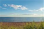 Beach in Cedar Dunes Provincial Park (Cedar Dunes Provincial Park, Prince Edward Island, Canada)