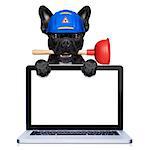 handyman  french bulldog dog worker with helmet and plunger  in mouth, ready to repair, fix everything at home, isolated on white background ,behind laptop computer screen tablet display