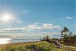 Cedar Dunes Provincial Park??s Beach (Cedar Dunes Provincial Park, Prince Edward Island, Canada)