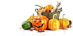 Halloween pumpkin autumn still life at holiday with acorn and dry leaves white wooden board, isolated on background