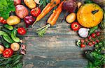 Harvest fresh vegetables autumn still-life on old wooden board in rustic style copyspace,