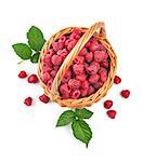 Fresh raspberries in wicker basket with green leaves, isolated on white background