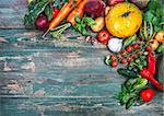 Harvest fresh vegetables autumn still-life on old wooden board in rustic style copyspace