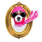 painter artist frame  dogchic fashionable diva luxury  cool dog with funny sunglasses, scarf and necklace, inside banner , blackboard or frame
