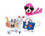 crazy and silly terrier dog diva lady with bag pushing  full of products supermarket cart , isolated on white background
