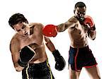one caucasian kickboxing kickboxer boxing men isolated on white background