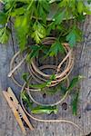 clothes peg and rope greens in garden on wood background