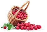 Fresh berries raspberry in wicker basket strewed with green leaves, isolated on white background