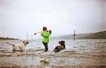 young boy playing fetch with two dogs in a lake.