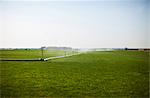 Irrigation on an expansive field.