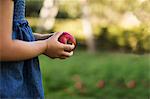 Hands of a young girl holding a red apple.