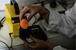 Female staff examine egg on digital egg monitor in egg factory