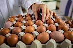 Mid section of female staff examine egg in egg factory