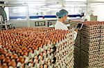 Female staff using digital tablet in egg factory