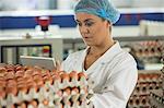 Attentive female staff using digital tablet in egg factory