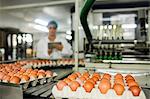 Cartons of eggs moving on the production line in factory