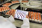 Mid section of female staff tacking picture of egg cartons on digital table in factory