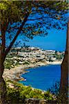 Hilltop view through trees to the coastal town of Castro in Puglia, Italy