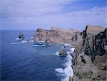 Ponta do Castelo, Atlantic coastline, Madeira, Portugal, Europe