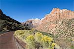 Zion National Park, Utah, United States of America, North America