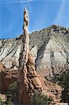 Kodachrome Basin State Park, Utah, United States of America, North America