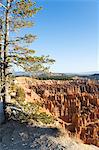 Bryce Canyon National Park, Utah, United States of America, North America