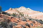 Zion National Park, Utah, United States of America, North America