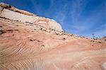 Slick rock, Zion National Park in autumn, Utah, United States of America, North America