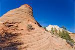 Slick rock, Zion National Park in autumn, Utah, United States of America, North America