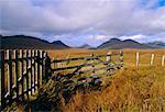 Inverpolly National Nature Reserve, Coigach, Wester Ross, Highlands Region, Scotland, United Kingdom, Europe