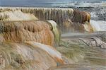 Canary Spring, Mammoth Hot Springs, Yellowstone National Park, UNESCO World Heritage Site, Wyoming, United States of America, North America