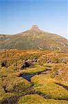 View from Mount Ossa, 1617m, Tasmania's highest mountain on the Overland Track, Cradle Mountain Lake St. Clair National Park, part of Tasmanian Wilderness, UNESCO World Heritage Site, Tasmania, Australia, Pacific