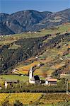 Nafen, Val di Funes, Dolomites, Bolzano province, Trentino-Alto Adige, Italy, Europe