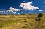 Farmland, Nariel Creek, Victoria, Australia, Pacific