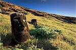 Moais, Cantera Rano Raraku, Easter Island (Rapa Nui), Chile, South America