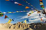 Prayer flags on the Peak of Victory, Leh, Ladakh, Indian Himalayas, India, Asia