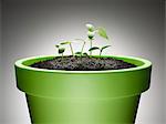 Green sprouts growing from flowerpot against gray background