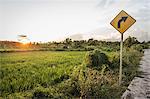 Yellow arrow sign and green field landscape at sunset, Lombok, Indonesia