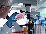 Scientist holding a multiwell plate containing growth medium commonly used in biological research to maintain and grow cells