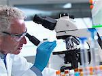 Scientist preparing a sample slide containing a human specimen to view under a microscope in laboratory for medical testing