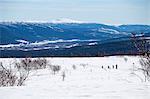 Winter landscape with people skiing on background