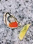 Oyster shell with caviar in ice