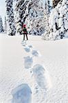 Woman looking at winter forest