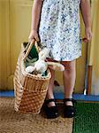 Scandinavia, Sweden, Girl  standing with toy in basket, close-up, low section