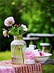 Scandinavia, Sweden, Stockholm, View of flower vase in garden along with cup and plates, close-up