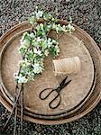 Scandinavia, Sweden, Nacka, View of tray with flower, scissors and thread, elevated view