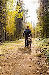 Man walking with dog in forest