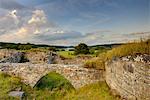 Ruins of old castle in scenic landscape