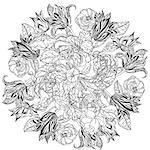 Contoured victorian garden flowers and leaves in mandala shape, for adult coloring book. Hand-drawn, black and white stylish doodle in tattoo style, for coloring book or fabric design in vector.