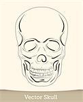 skull illustration isolated on white background. Vector EPS10